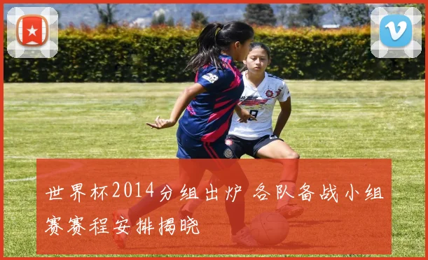 世界杯2014分组出炉 各队备战小组赛赛程安排揭晓