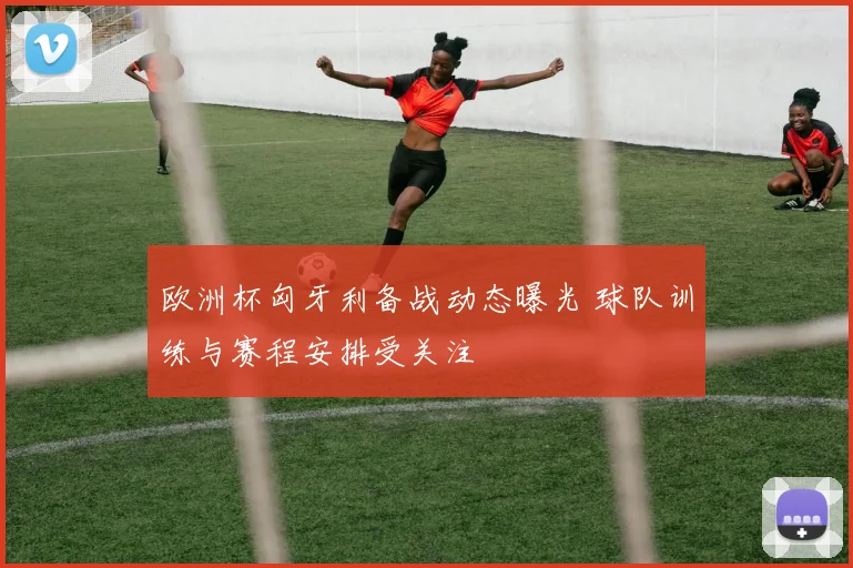 欧洲杯匈牙利备战动态曝光 球队训练与赛程安排受关注