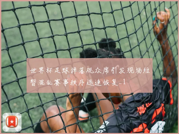 世界杯足球掉落观众席引发现场短暂混乱赛事秩序迅速恢复_1