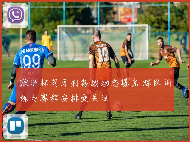 欧洲杯匈牙利备战动态曝光 球队训练与赛程安排受关注