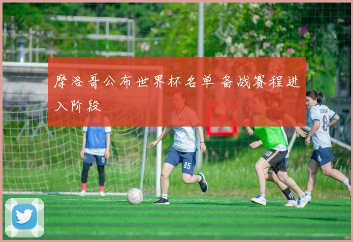 摩洛哥公布世界杯名单 备战赛程进入阶段