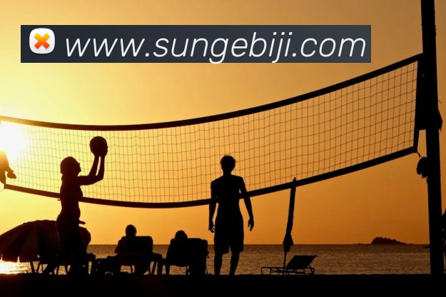 世界杯开户平台全站App 世界杯开户平台全站App